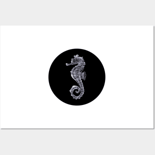 Silver Seahorse on Black Posters and Art
